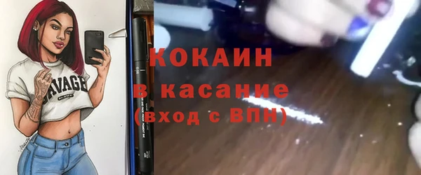 шишки Осташков