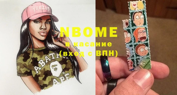 шишки Осташков