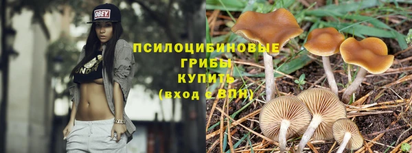 шишки Осташков