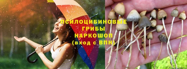 мяу мяу мука Нязепетровск