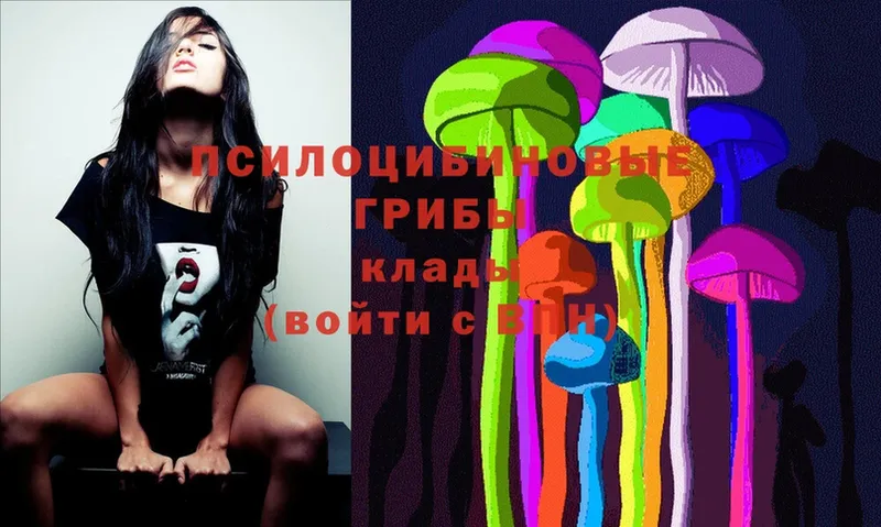 Галлюциногенные грибы MAGIC MUSHROOMS  Ржев 