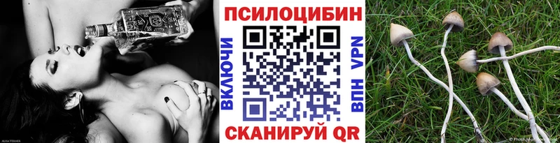 Псилоцибиновые грибы ЛСД  mega маркетплейс  Ржев  где можно купить  