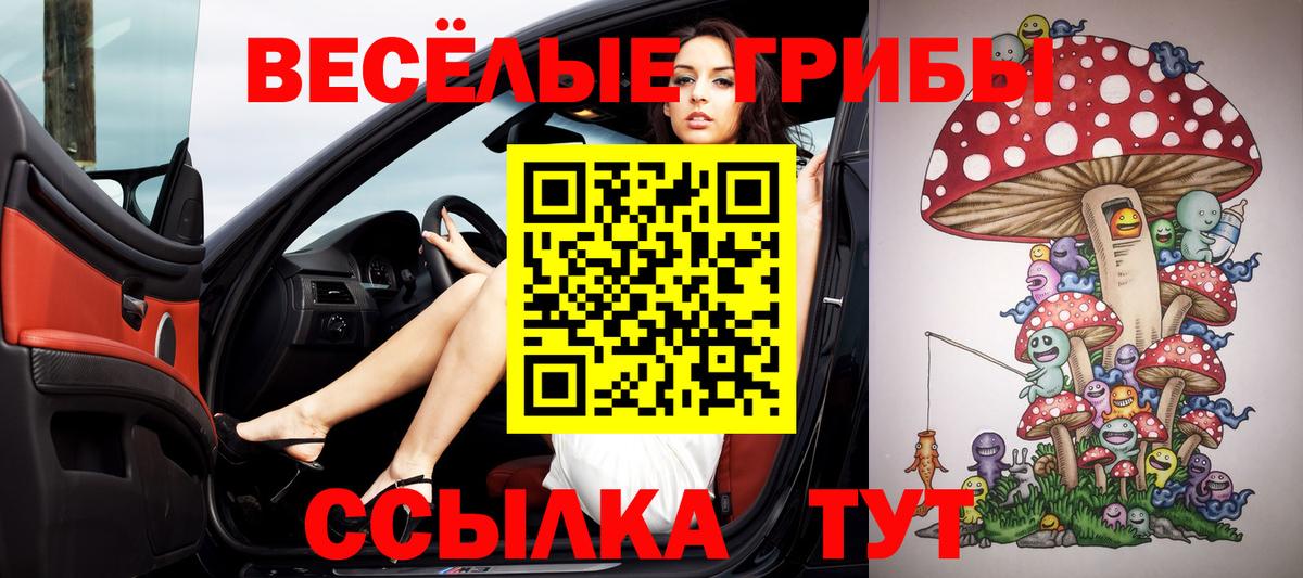 Галлюциногенные грибы Psilocybe  Вход с VPN  Ржев 